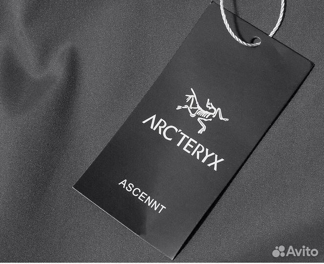 Штаны мужские arcteryx серые