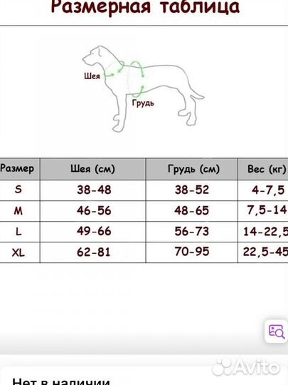 Шлейка для собаки