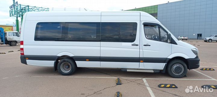 Аренда автобуса с водителем. Заказ автобуса