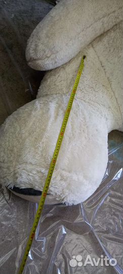 Продам медведя