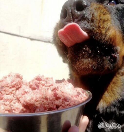 Товары для животных