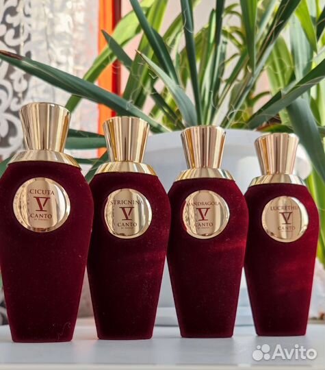 V Canto Делюсь, отливанты