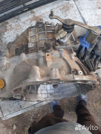 Мкп на джели мк