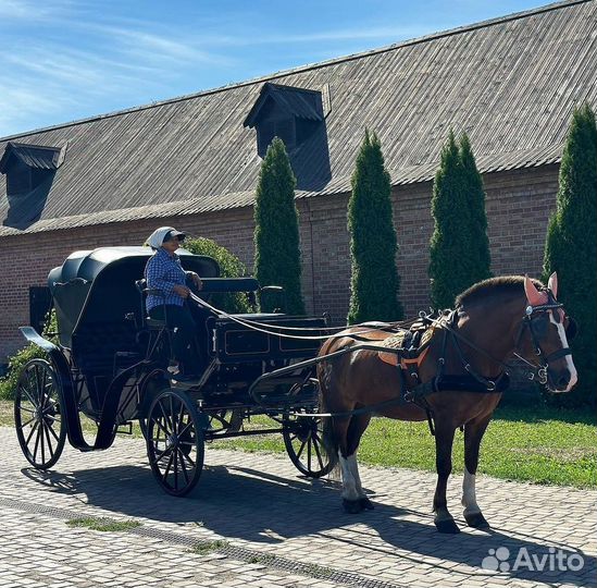 Экскурсия на остров Свияжск по Волге