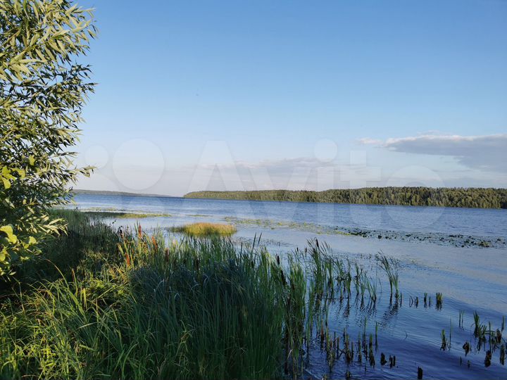 Участок 22 сот. (ИЖС)