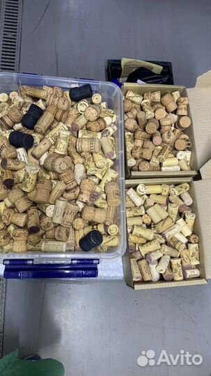 Пробки от шампанского 350 штук