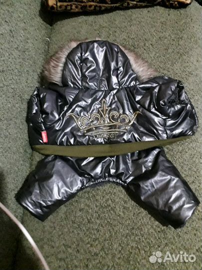 Теплый костюм для собаки домашних пород