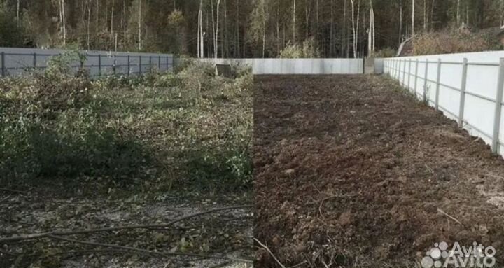 Спил деревьев, уборка участка, вывоз сусора