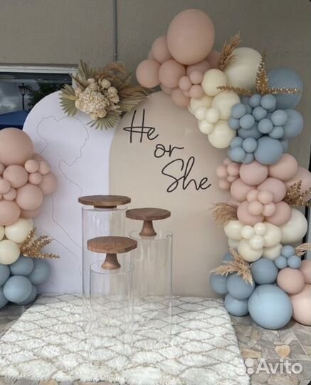 Фотозона на Гендер пати, gender party