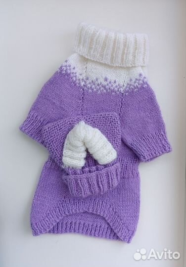 Свитер и шапочка для собачки