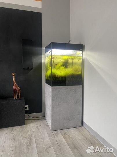 Аквариум с тумбой 180 л