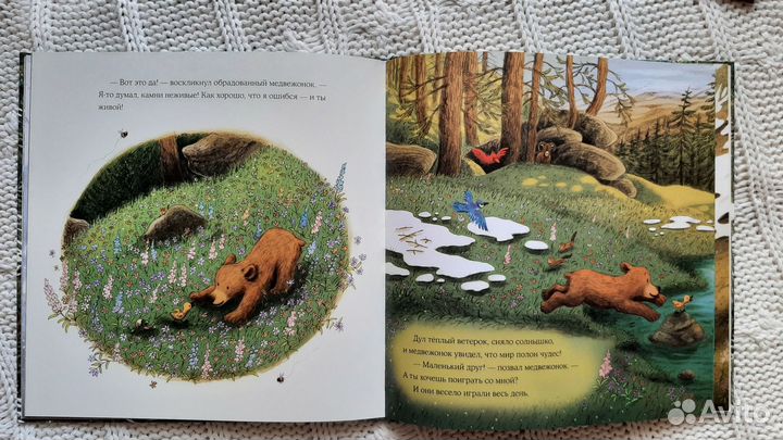 Осень гусенка и Весна медвежонка книги