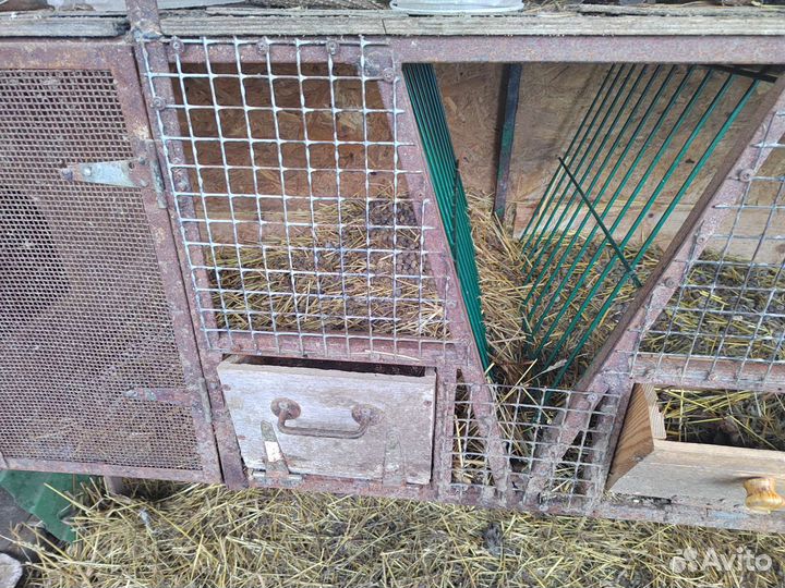Клетка для кролика