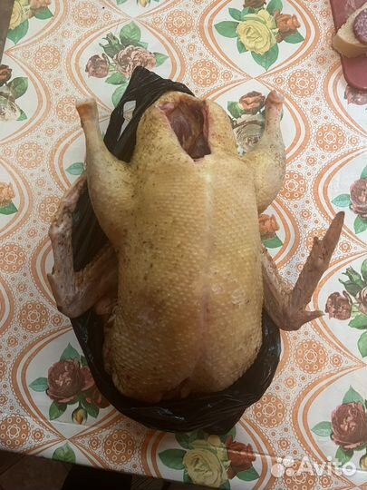 Утка домашняя мясо