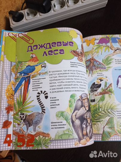 Энциклопедия дошкольника