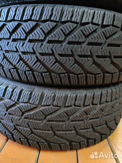 Tigar Winter 205/50 R17 93H