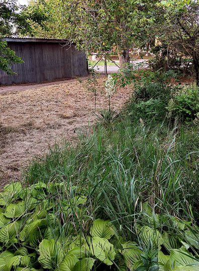 3-к. квартира, 53,8 м², 1/2 эт.