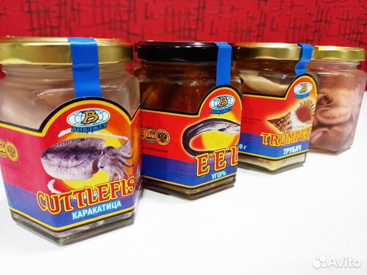 Угорь, трубач, каракатица, осьминоги