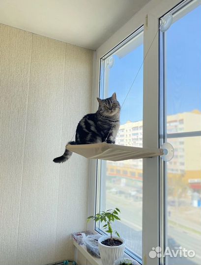 Гамак для кошек и собак на окно