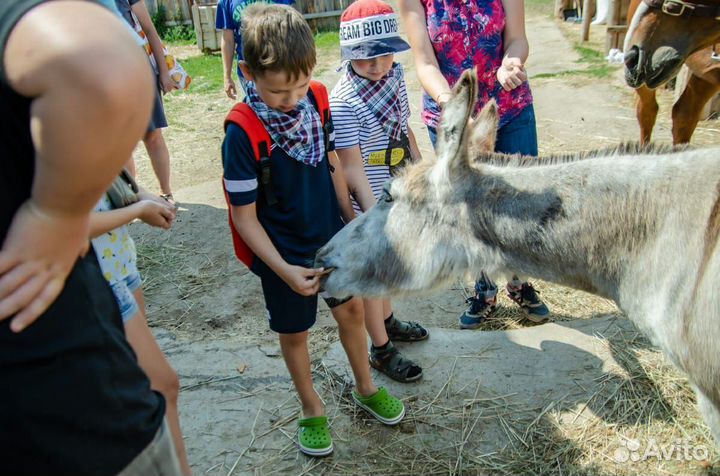 Выпускной на конеферме