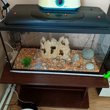 Аквариум 120 л с крышкой и подсветкой + аксессуары