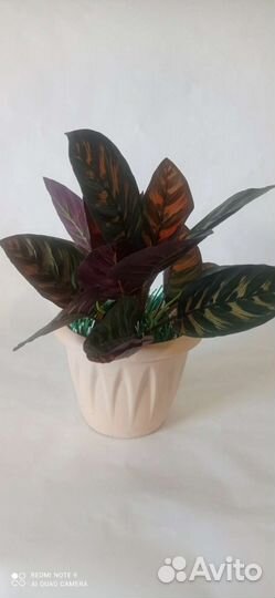 Искусственные цветы