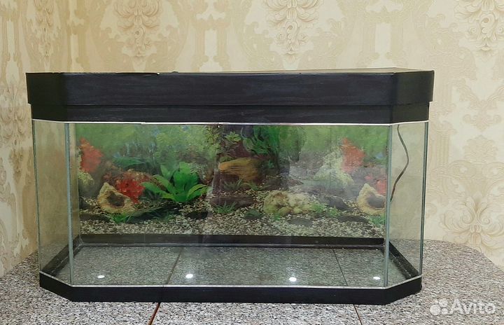 Аквариум на 150 литров