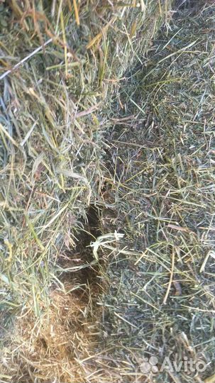 Сено луговое