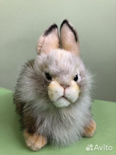Кролик Hansa, 20 см