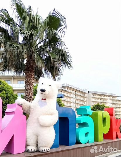 Белый мишка поздравление Сочи/ аниматоры / аренда