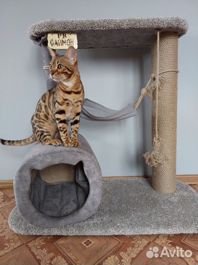 Домик для кошки с когтеточкой