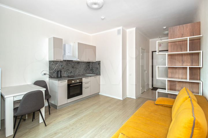 Квартира-студия, 22,5 м², 4/17 эт.