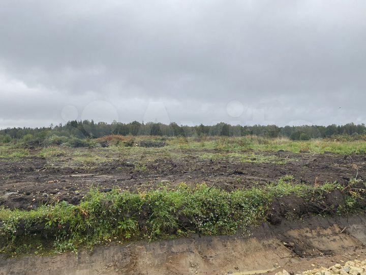 Участок 20 сот. (ИЖС)