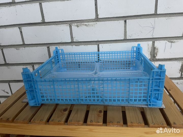 Грибной ящик (для клубники)