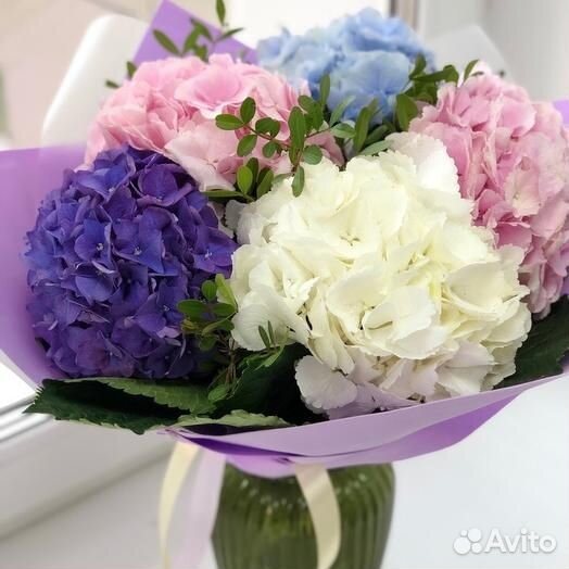 Букет из Гортензии Разноцветная Красивая Гидрангия