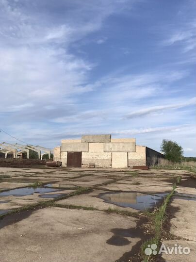 Мясомолочнач ферма