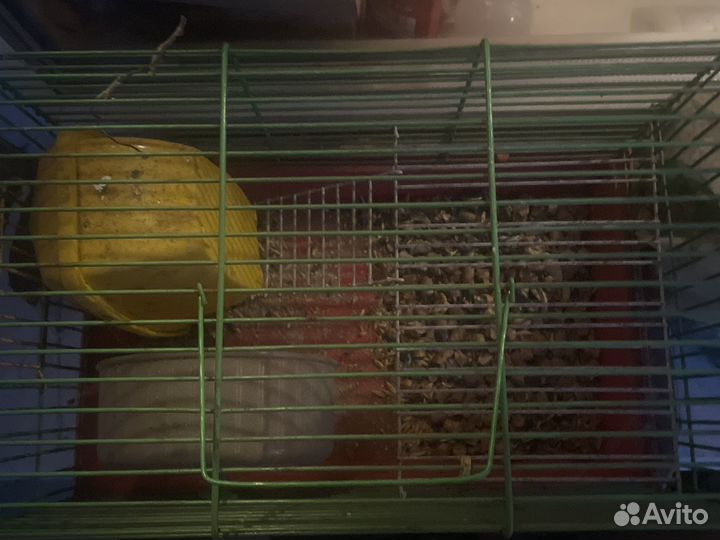 Клетка для грызунов