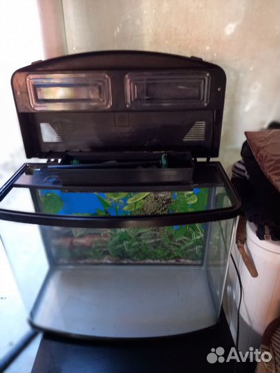 Аквариум