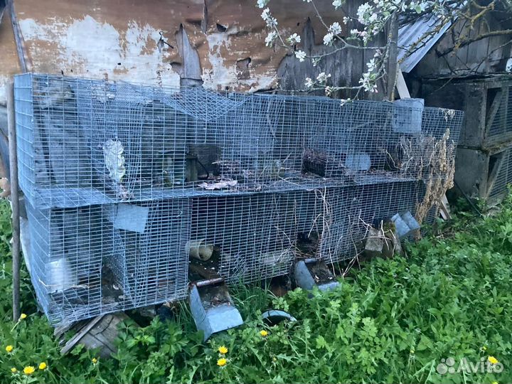 Клетки для кроликов