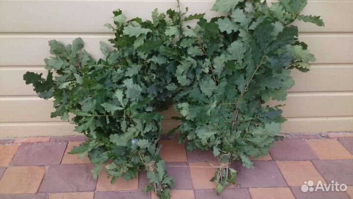 Веники для бани