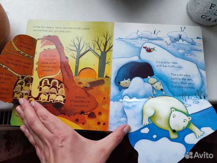 Детская книга Usborne Animal homes