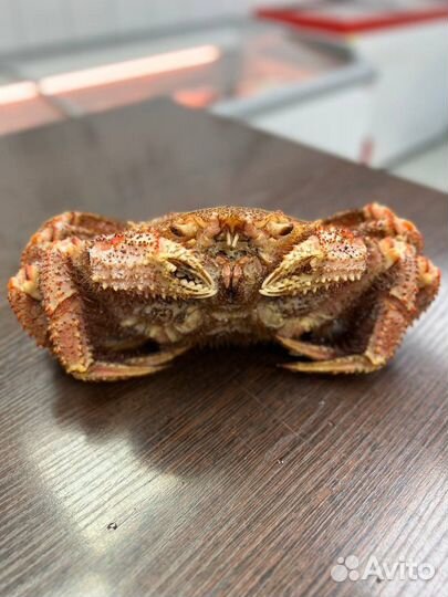 Краб+клешни