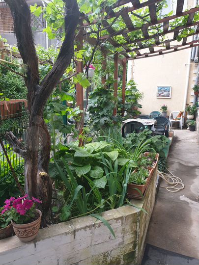 2-к. квартира, 40 м², 1/2 эт.