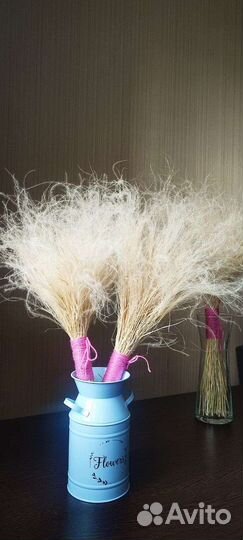 Ковыль / Стифа сухоцвет урожай 2023