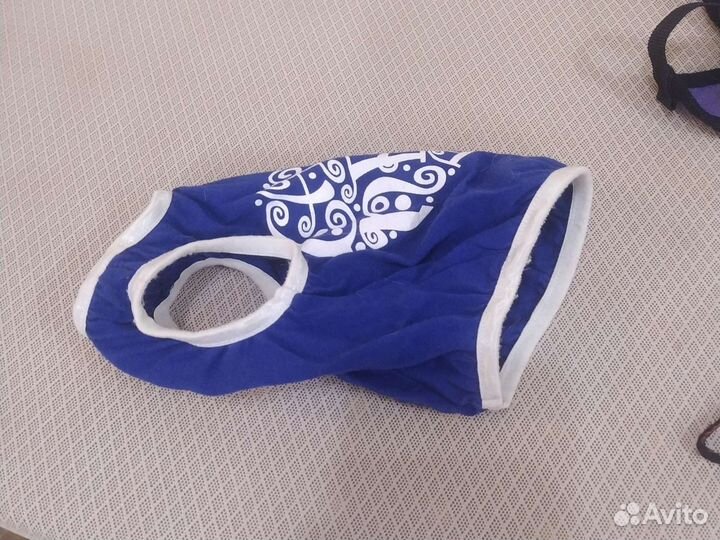 Рубашка для собаки, чихуа хуа, до 1 кг