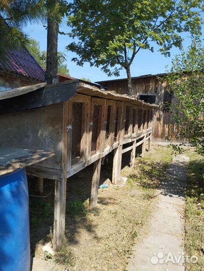 Клетка для кроликов