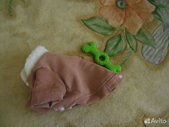 Курточка и игрушка для собаки за шоколадку