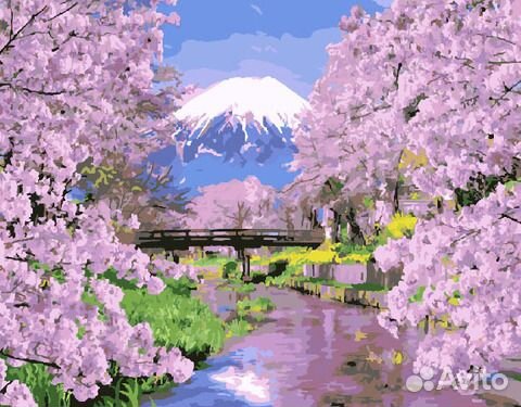 Раскраска по номерам