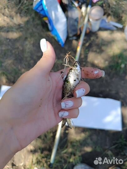 Наращивание ногтей