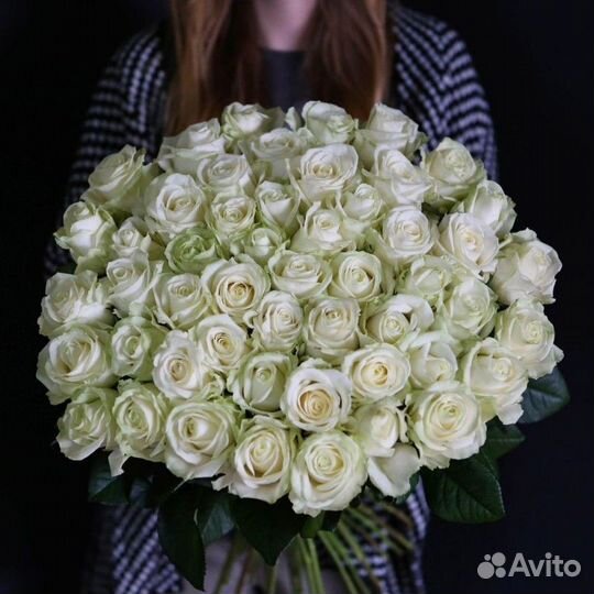 51 белая роза